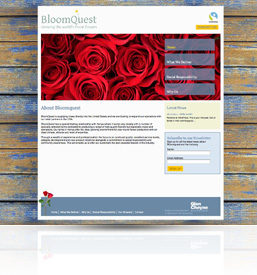 website for Bloomquest